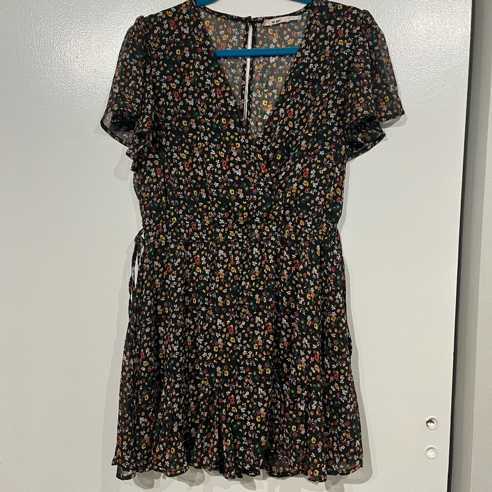 Francesca's Floral Mini Dress